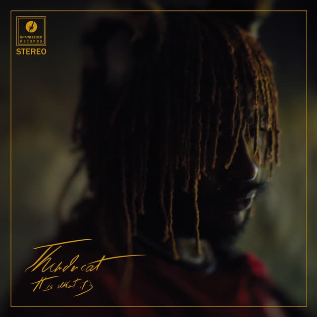 It Is What It Is album cover