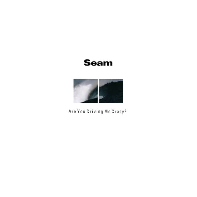 Are You Driving Me Crazy? album cover