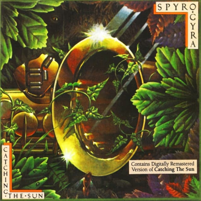 Catching the Sun album cover