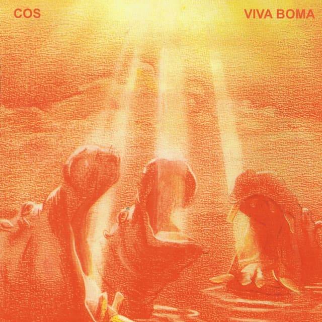 Viva Boma album cover