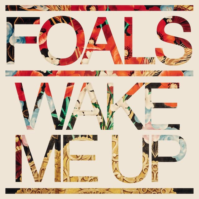 Wake Me Up album cover