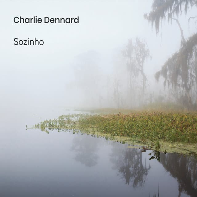 Sozinho album cover