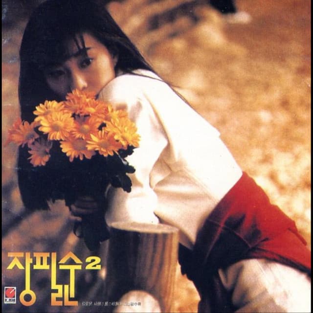 장필순 2집 외로운 사랑/꿈/세월이 지나갈수록 album cover