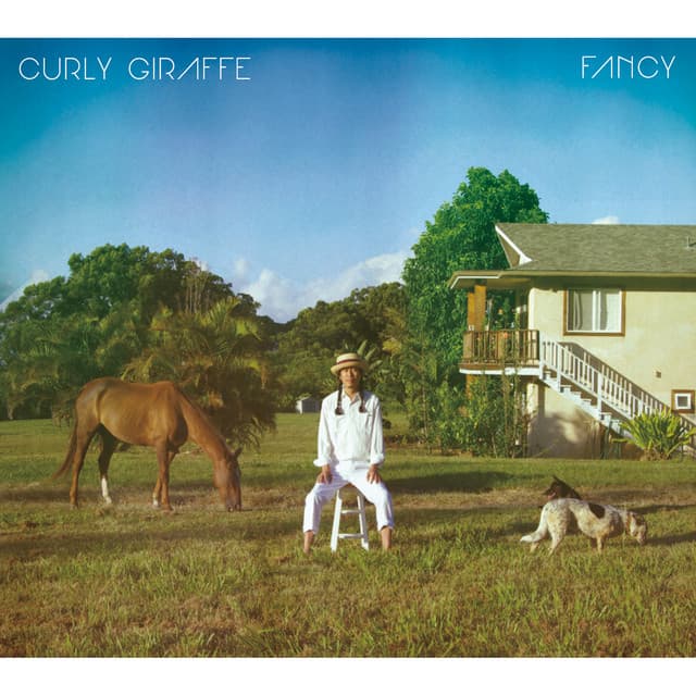 Fancy album cover