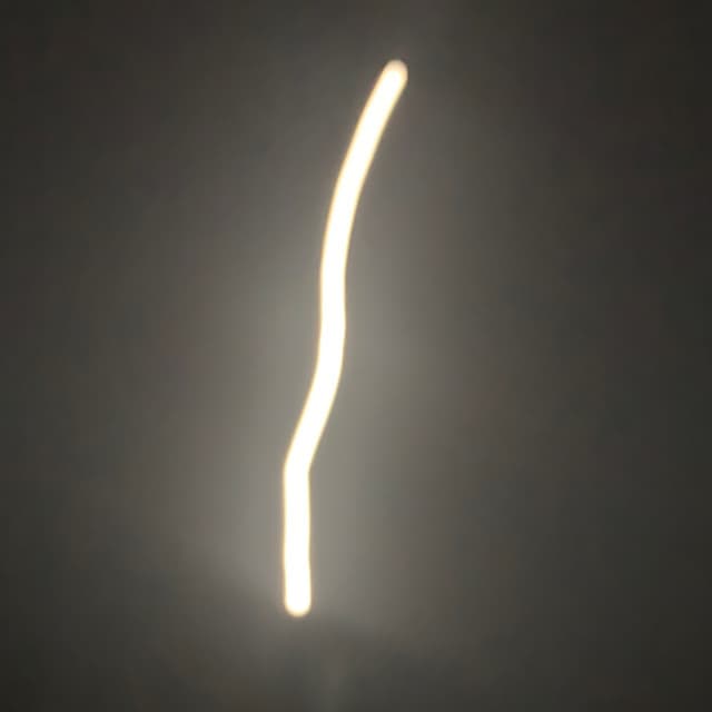 Mooon Walkers album cover